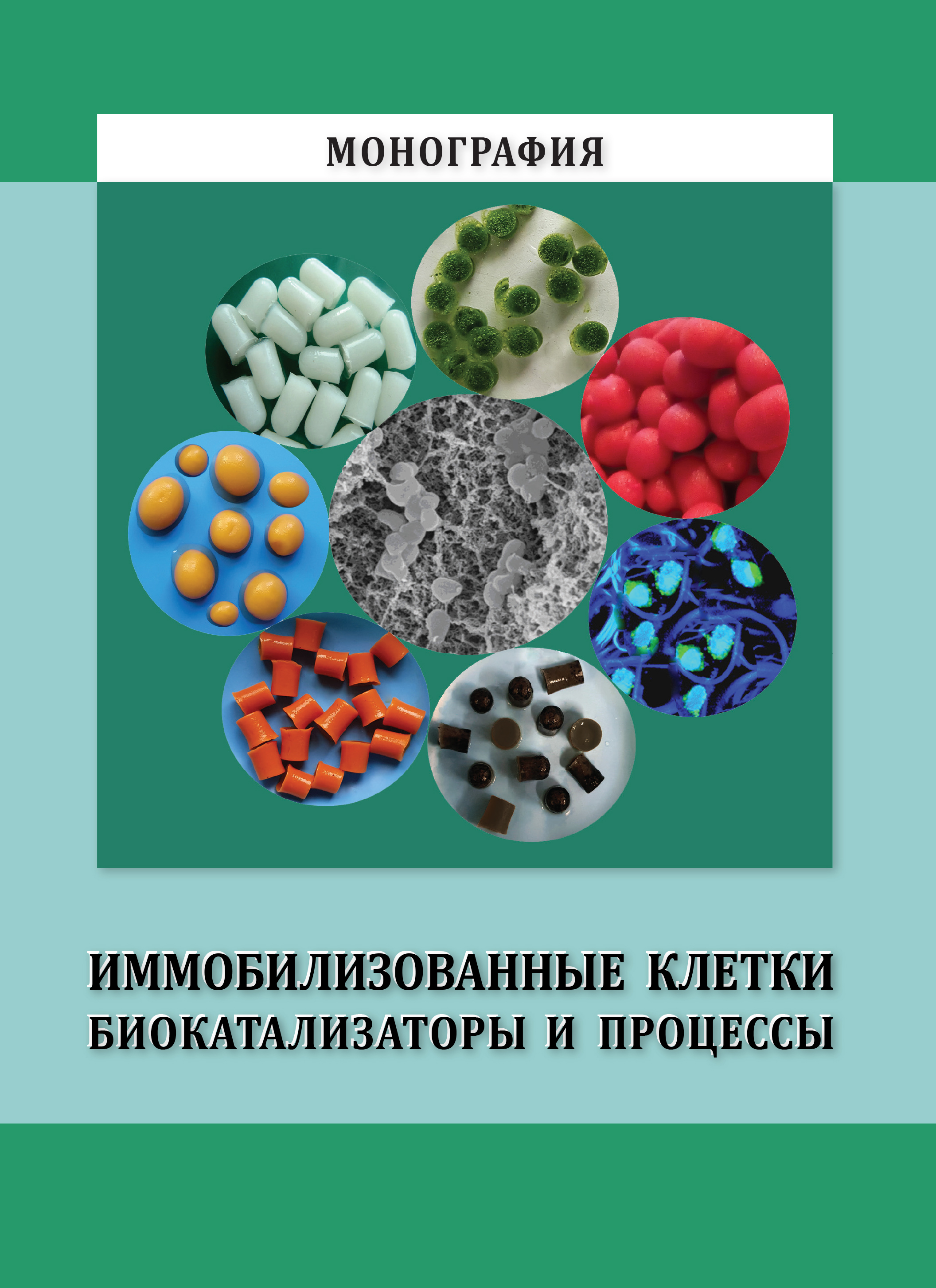             ИММОБИЛИЗОВАННЫЕ КЛЕТКИ: БИОКАТАЛИЗАТОРЫ И ПРОЦЕССЫ
    